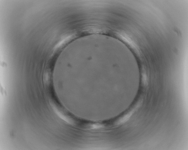 X0000091180165200708091228