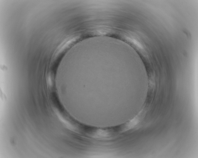 X0000091180166200708091228
