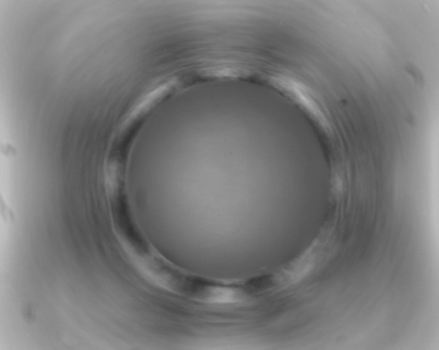 X0000091180167200708091228