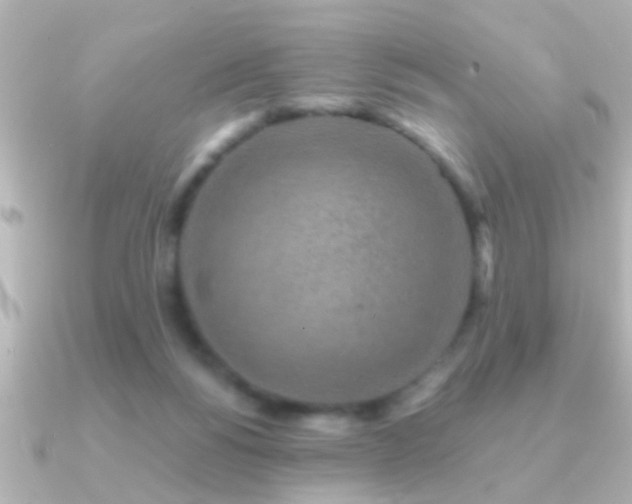 X0000091180168200708091228