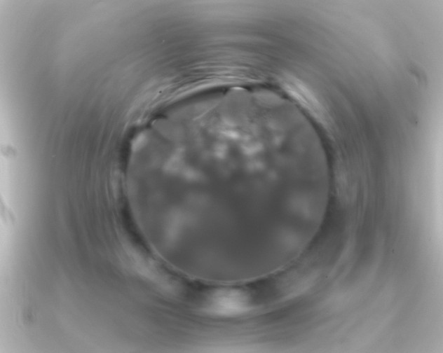 X0000091180169200708091228