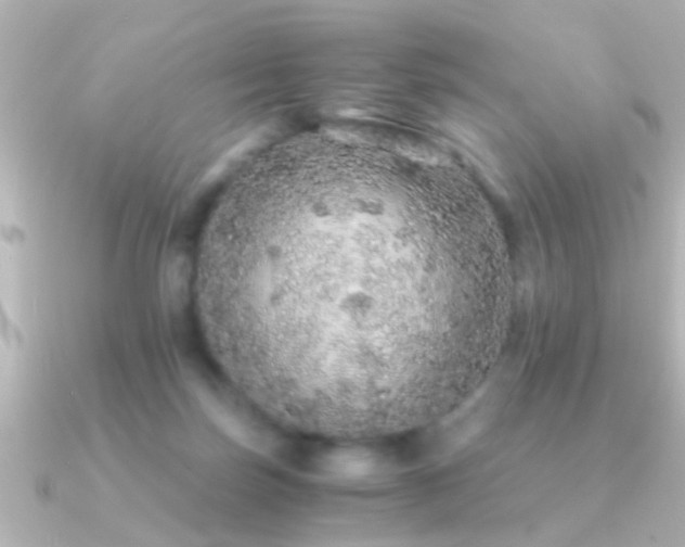 X0000091180171200708091228
