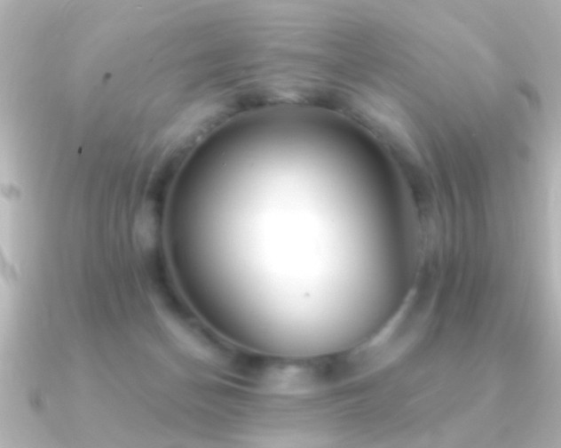X0000091180174200708091228