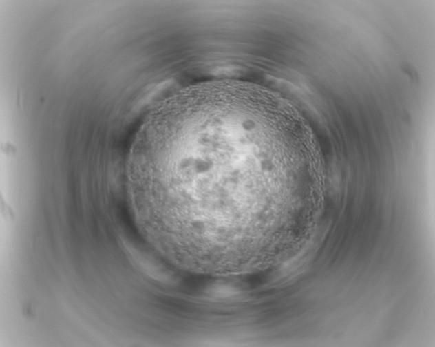 X0000091180175200708091228