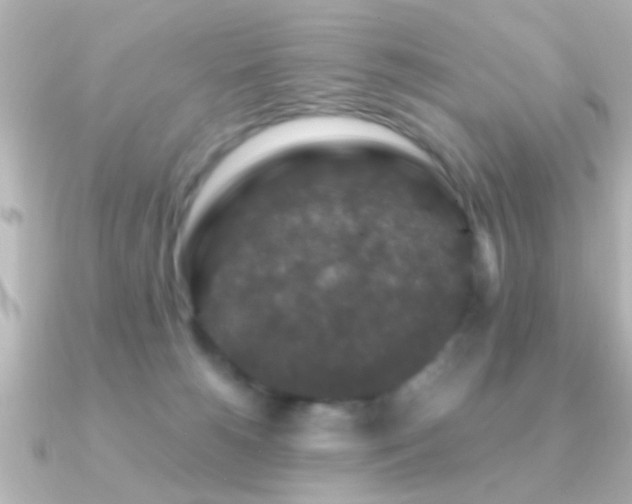 X0000091180180200708091228
