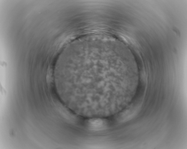 X0000091180181200708091228