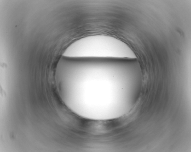 X0000091180182200708091228