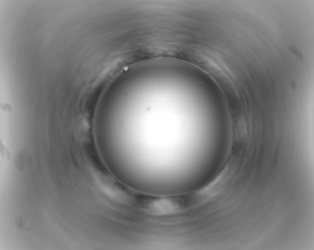 X0000091180183200708091228