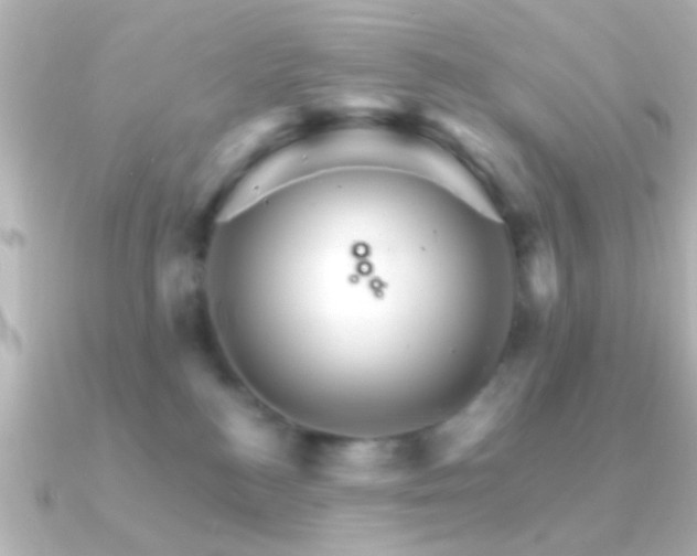 X0000091180184200708091228