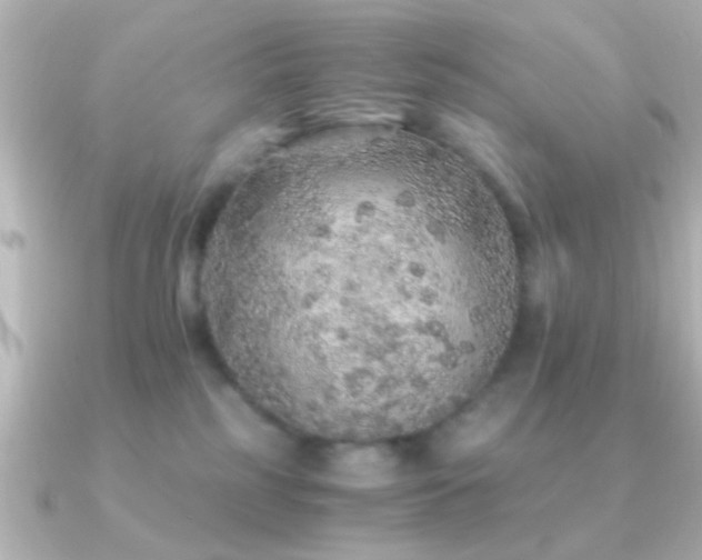 X0000091180185200708091228