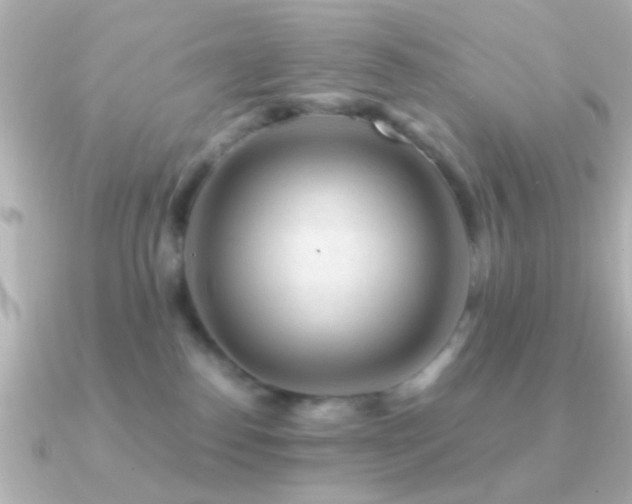 X0000091180186200708091228