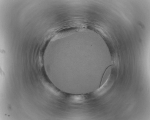 X0000091180187200708091228