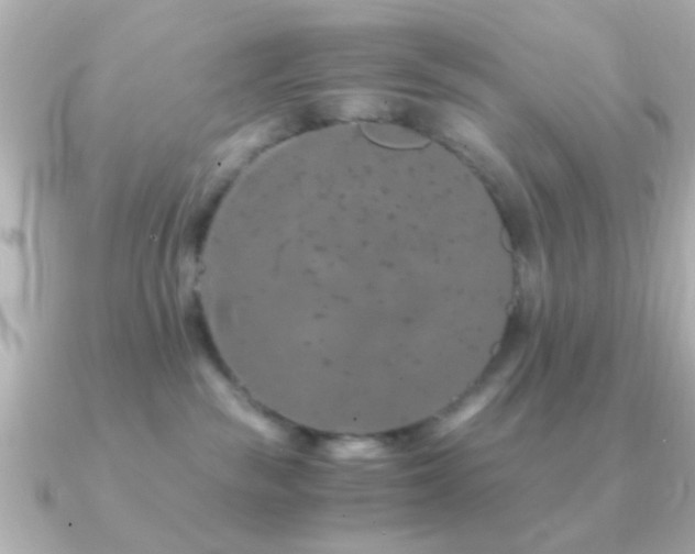X0000091180189200708091228