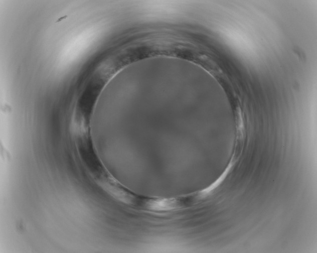 X0000091180191200708091228