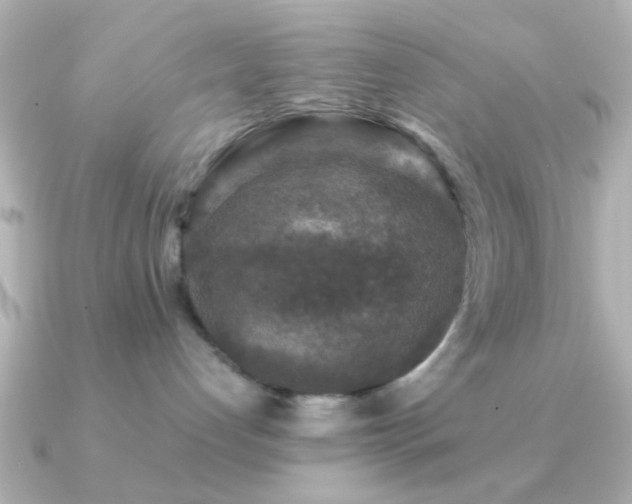 X0000091180192200708091228