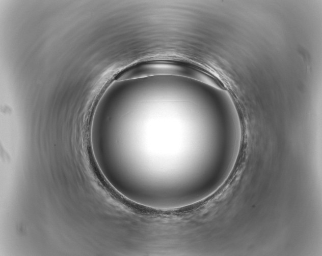 X0000091180193200708091228