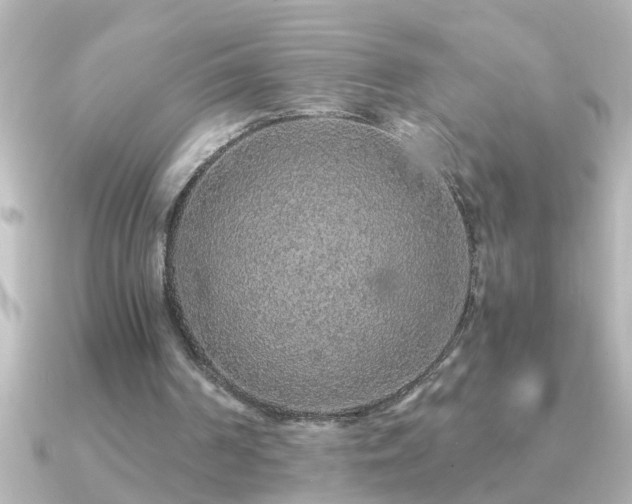 X0000091180194200708091228