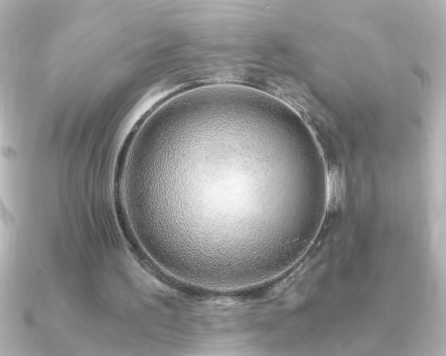 X0000091180195200708091228