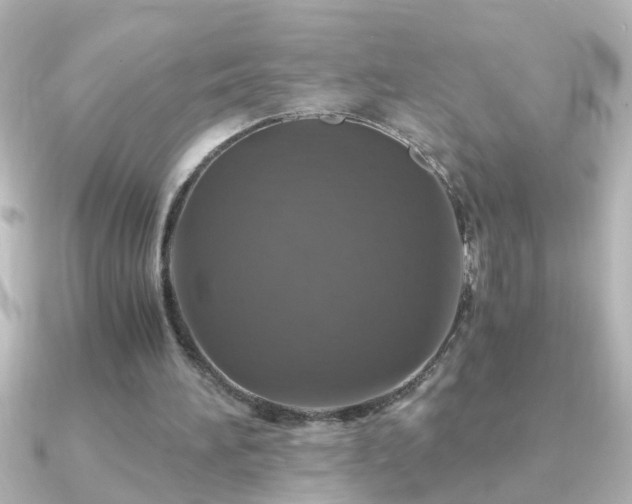 X0000091180196200708091228
