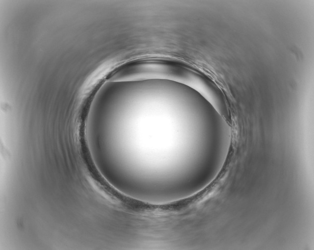 X0000091180197200708091228