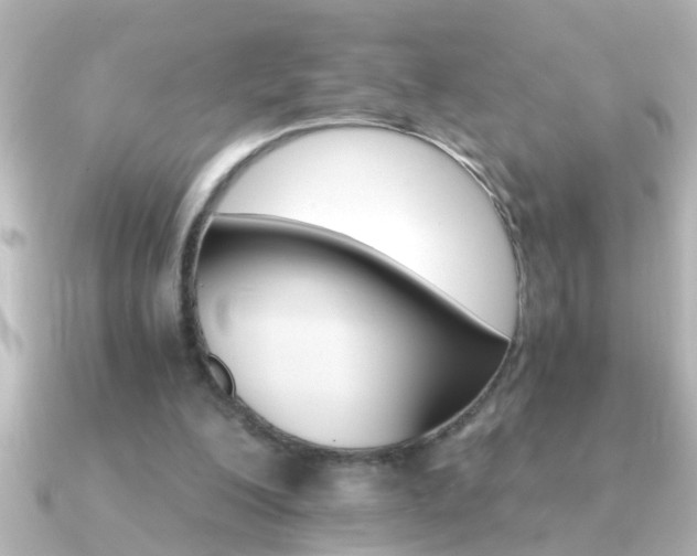 X0000091180200200708091228