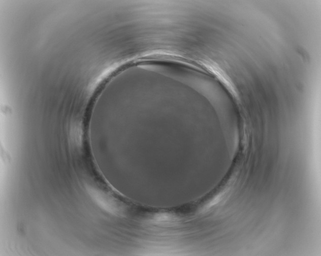 X0000091180204200708091228