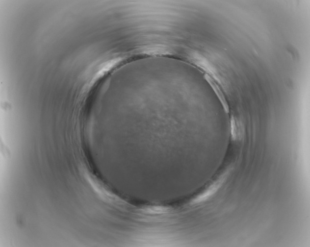 X0000091180205200708091228