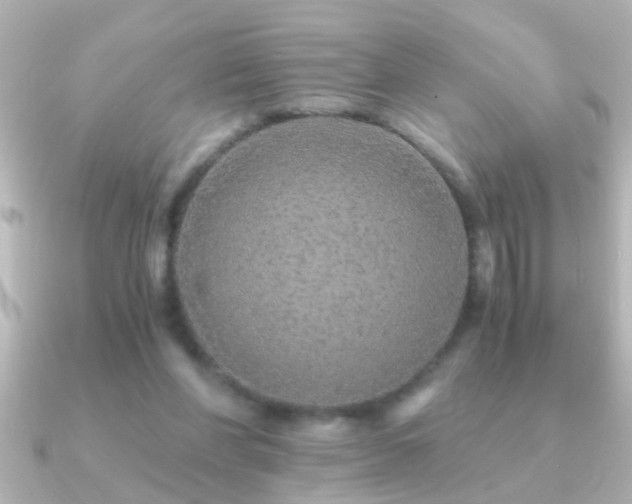 X0000091180206200708091228
