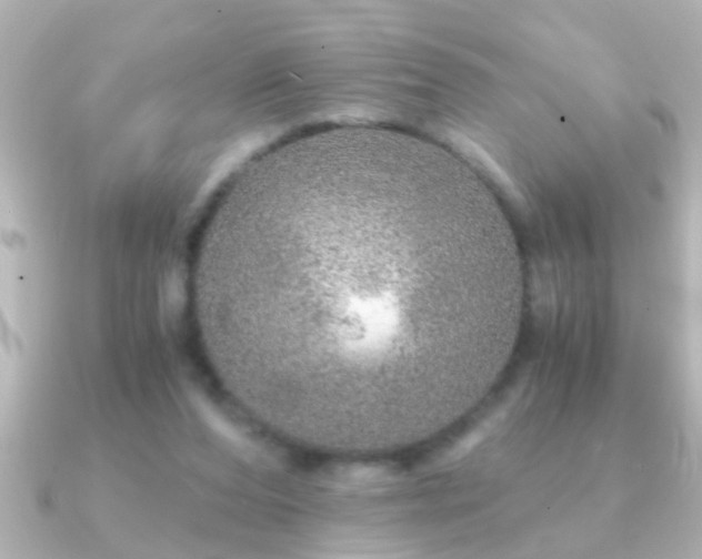 X0000091180208200708091228