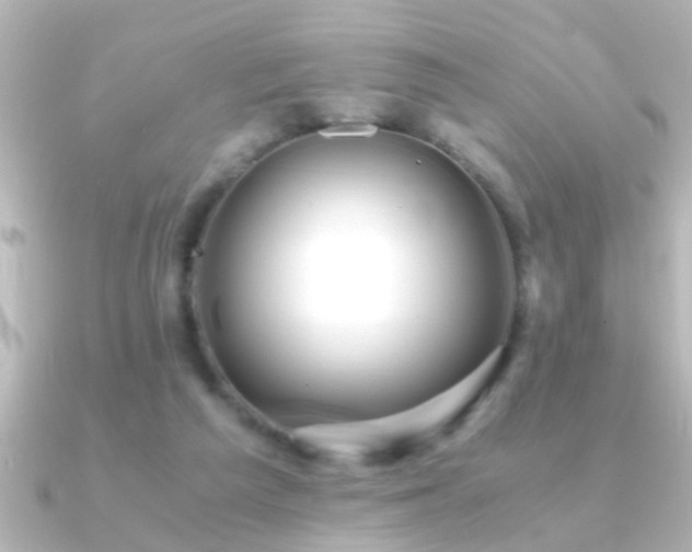 X0000091180209200708091228