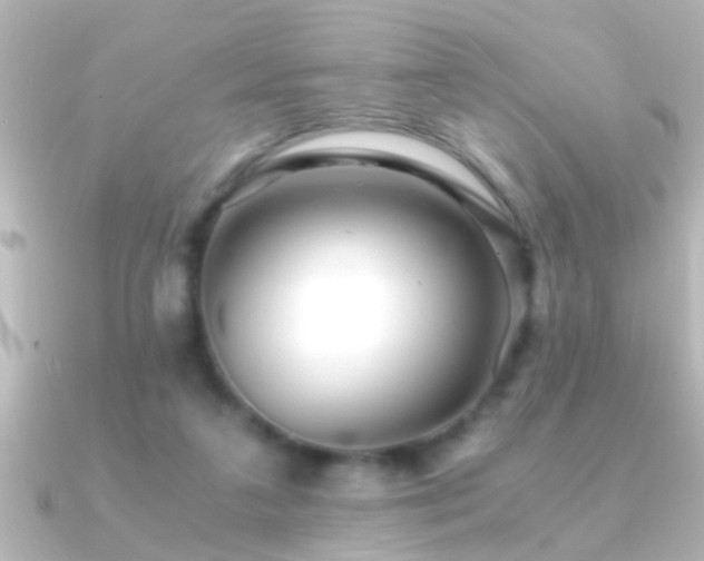 X0000091180211200708091228