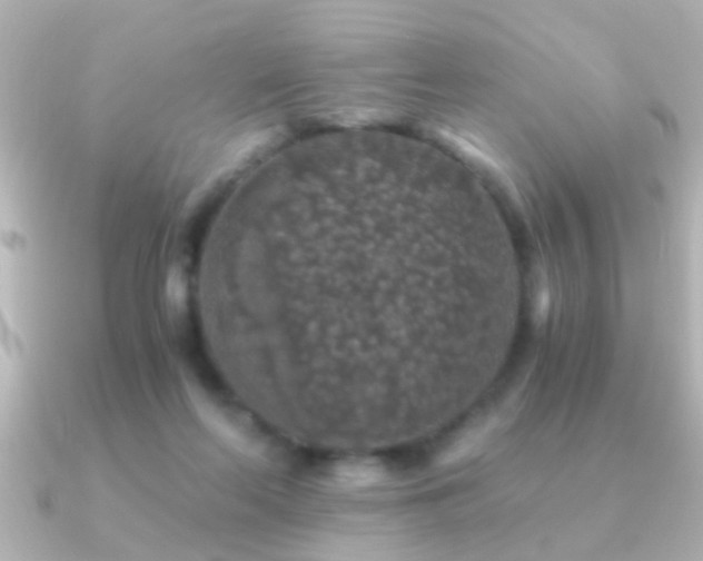 X0000091180214200708091228
