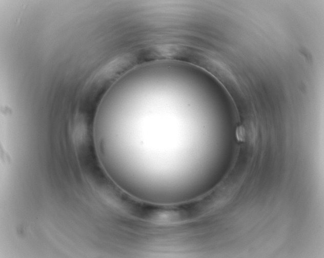 X0000091180220200708091228