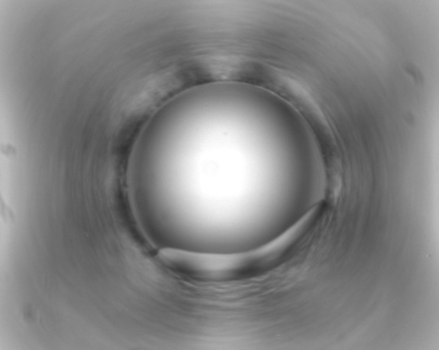 X0000091180221200708091228