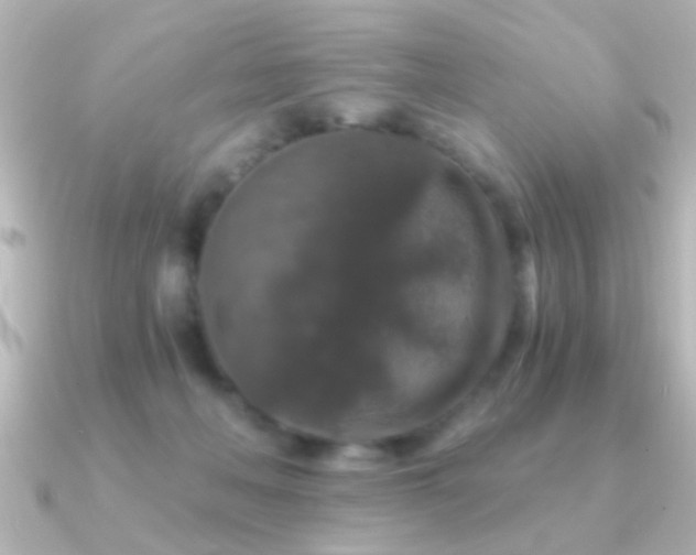 X0000091180222200708091228
