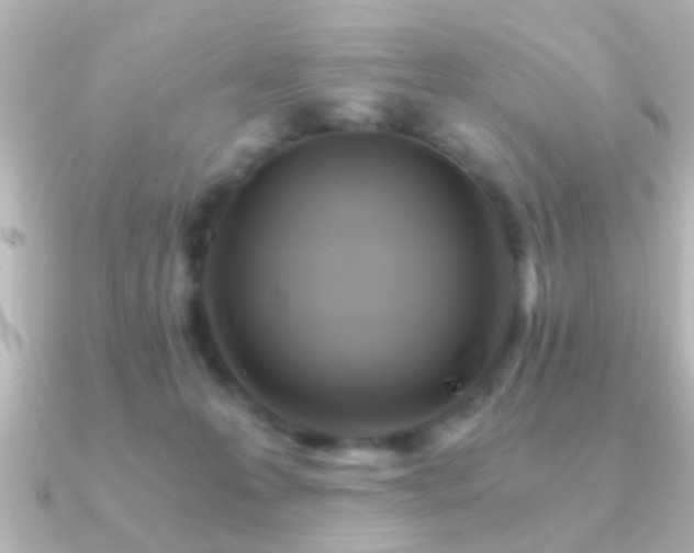 X0000091180223200708091228