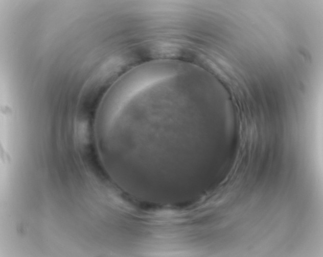 X0000091180224200708091228