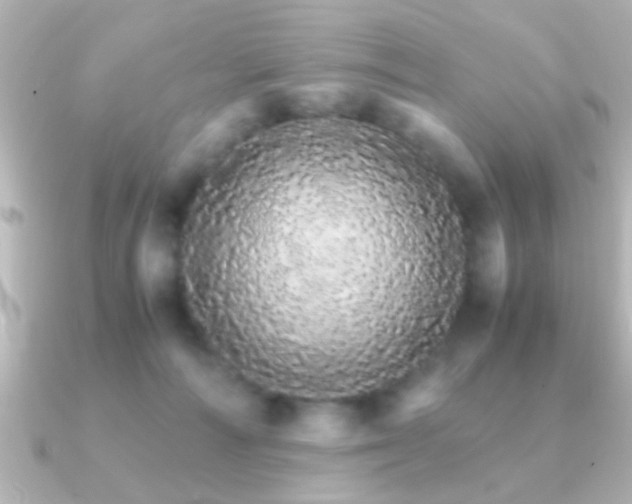 X0000091180226200708091228