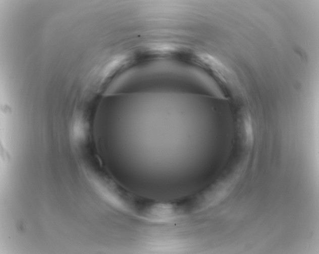 X0000091180227200708091228