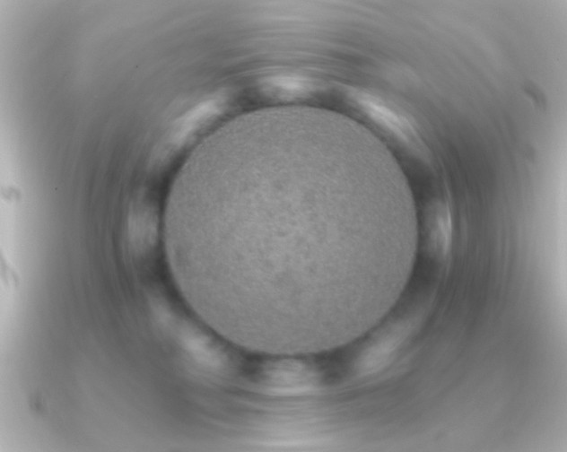 X0000091180230200708091227