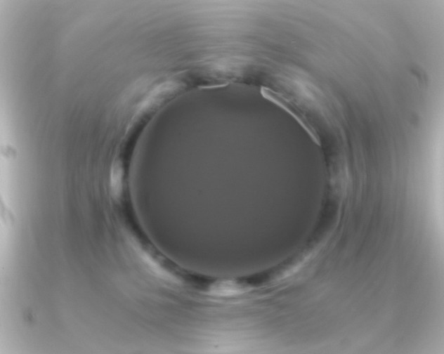 X0000091180231200708091227