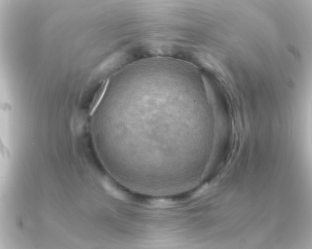 X0000091180233200708091227