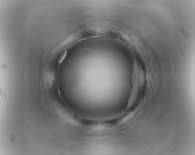 X0000091180235200708091227