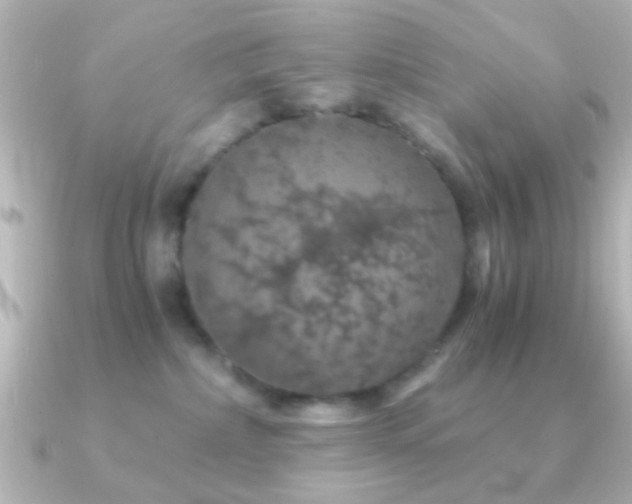 X0000091180236200708091227