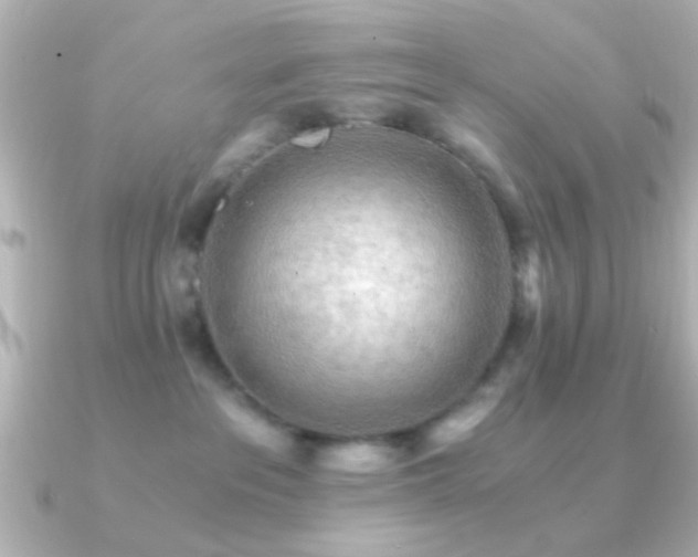 X0000091180237200708091227