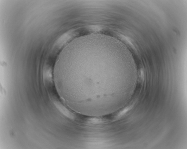 X0000091180238200708091227