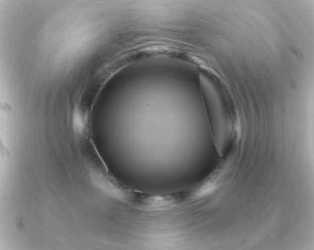 X0000091180239200708091227