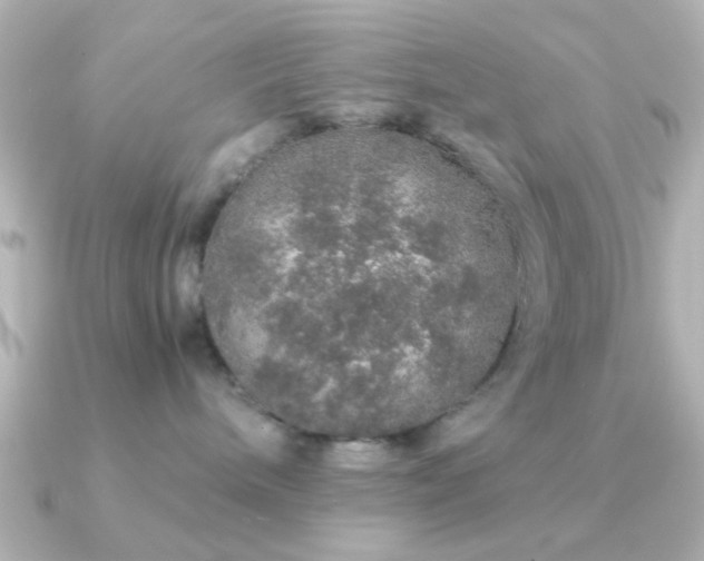 X0000091180240200708091227