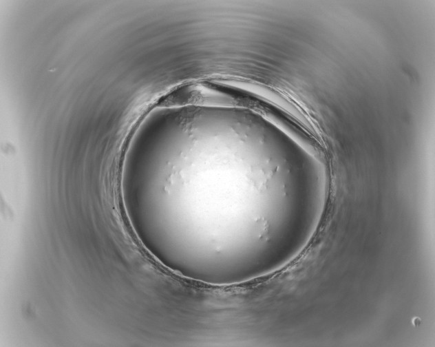 X0000091180241200708091227