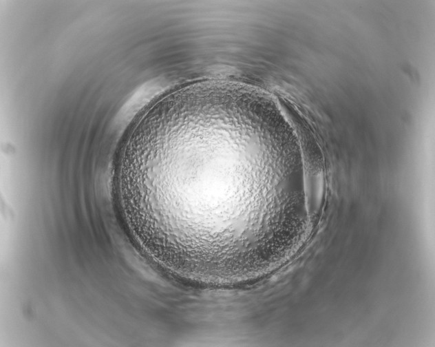 X0000091180242200708091227